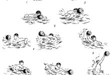 Photo of Поло: правила игры и основные приемы