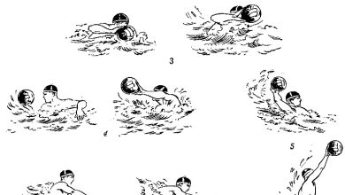 Photo of Поло: правила игры и основные приемы