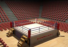 Photo of Арена боксерских баталий